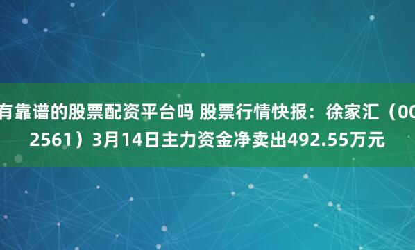 有靠谱的股票配资平台吗 股票行情快报：徐家汇（002561）3月14日主力资金净卖出492.55万元