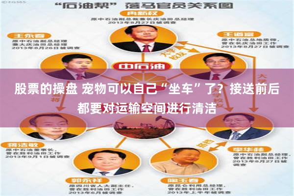 股票的操盘 宠物可以自己“坐车”了？接送前后都要对运输空间进行清洁