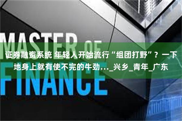 证券融资系统 年轻人开始流行“组团打野”？一下地身上就有使不完的牛劲…_兴乡_青年_广东