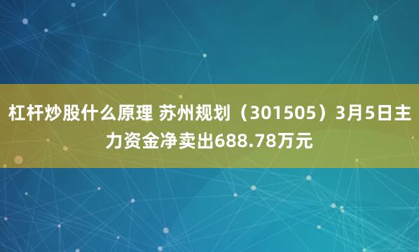 杠杆炒股什么原理 苏州规划（301505）3月5日主力资金净卖出688.78万元