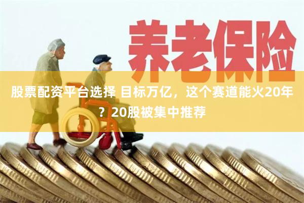 股票配资平台选择 目标万亿，这个赛道能火20年？20股被集中推荐