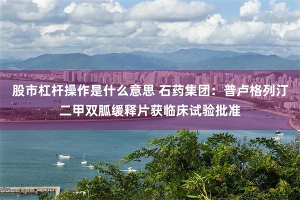 股市杠杆操作是什么意思 石药集团：普卢格列汀二甲双胍缓释片获临床试验批准