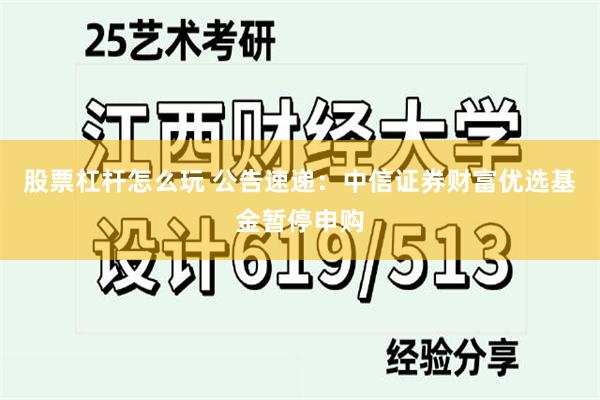 股票杠杆怎么玩 公告速递：中信证券财富优选基金暂停申购