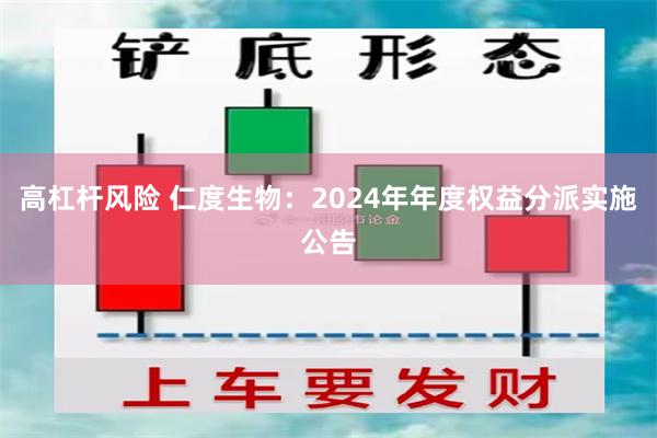 高杠杆风险 仁度生物：2024年年度权益分派实施公告