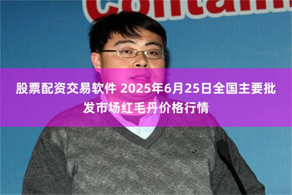 股票配资交易软件 2025年6月25日全国主要批发市场红毛丹价格行情