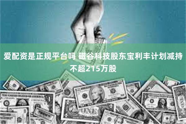 爱配资是正规平台吗 磁谷科技股东宝利丰计划减持不超215万股