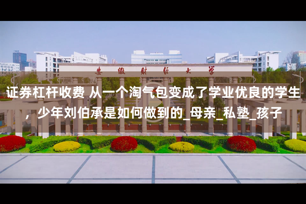 证券杠杆收费 从一个淘气包变成了学业优良的学生，少年刘伯承是如何做到的_母亲_私塾_孩子